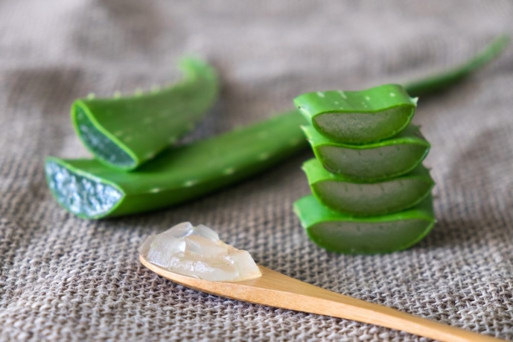 19 Ridiculously Easy Home Spa Treatments; Aloe vera