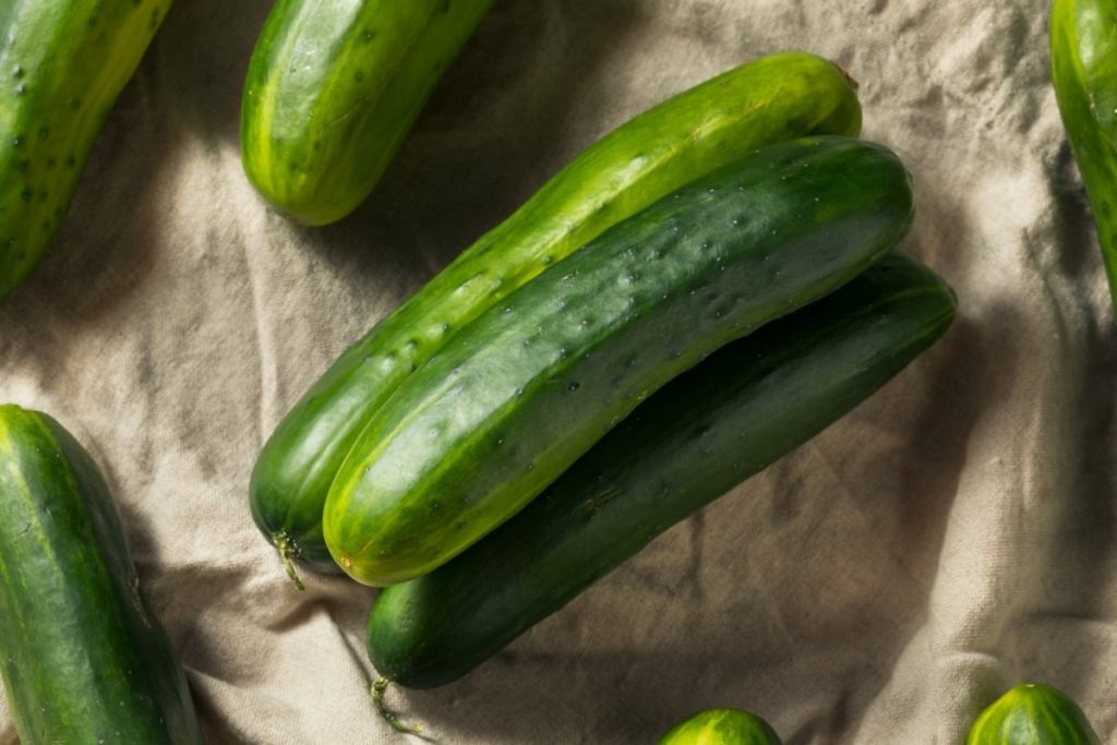 19 Ridiculously Easy Home Spa Treatments; Raw Green Organic Cucumbers