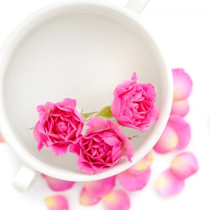 Pink roses in a cup of fragrant water on a white background