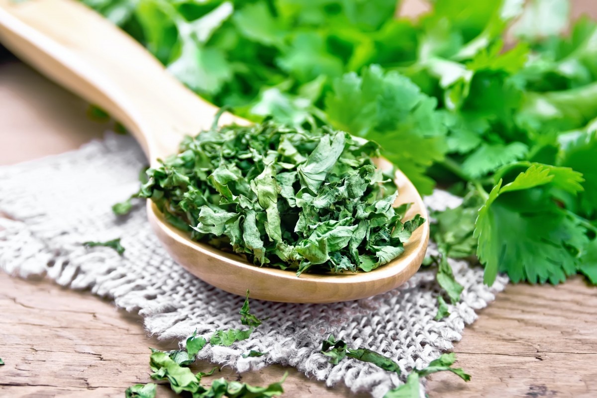 Cilantro dried in spoon on board; How To Blast Cellulite: The Truth That Nobody Is Telling You